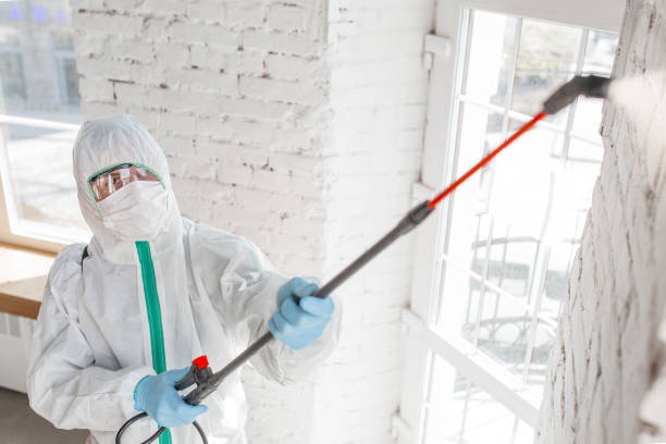 Garyville, LA Mold Inspection, Removal & Remediation Company